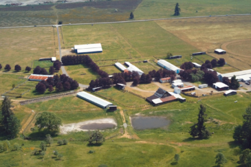 Washington Ranch for Sale Tenino Equine Center