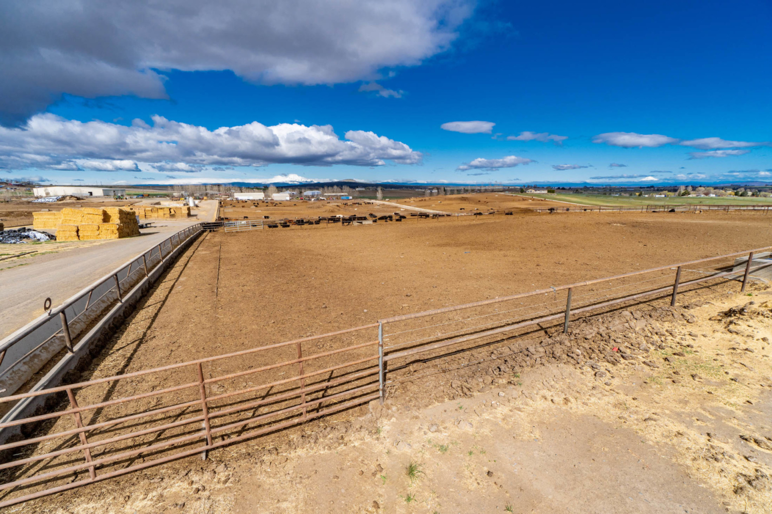 Greens' Feedlot Madras Oregon Cattle Feedlot Fay Ranches