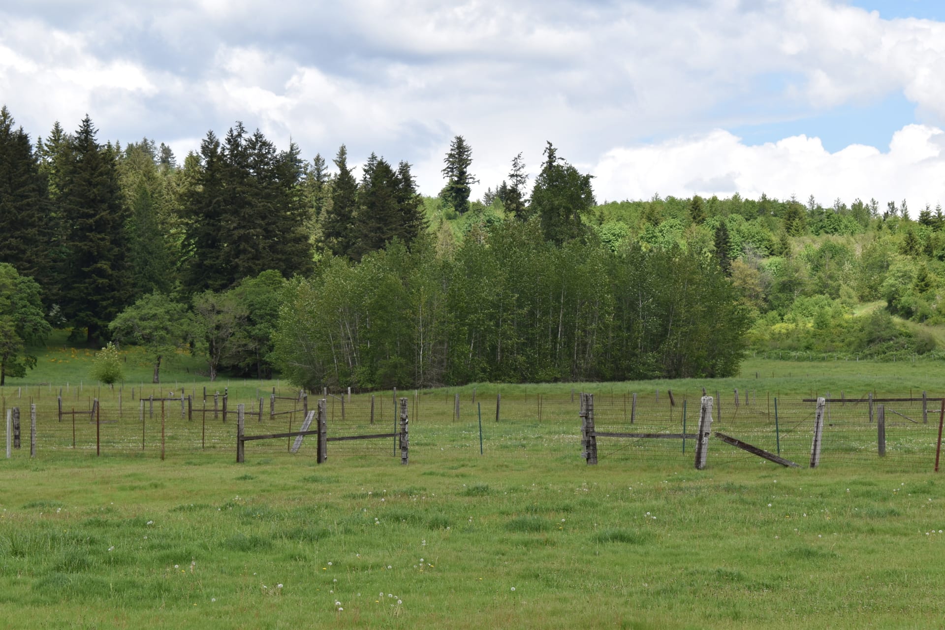 Fenced foliage Land Washington Lemon Hill Ranch