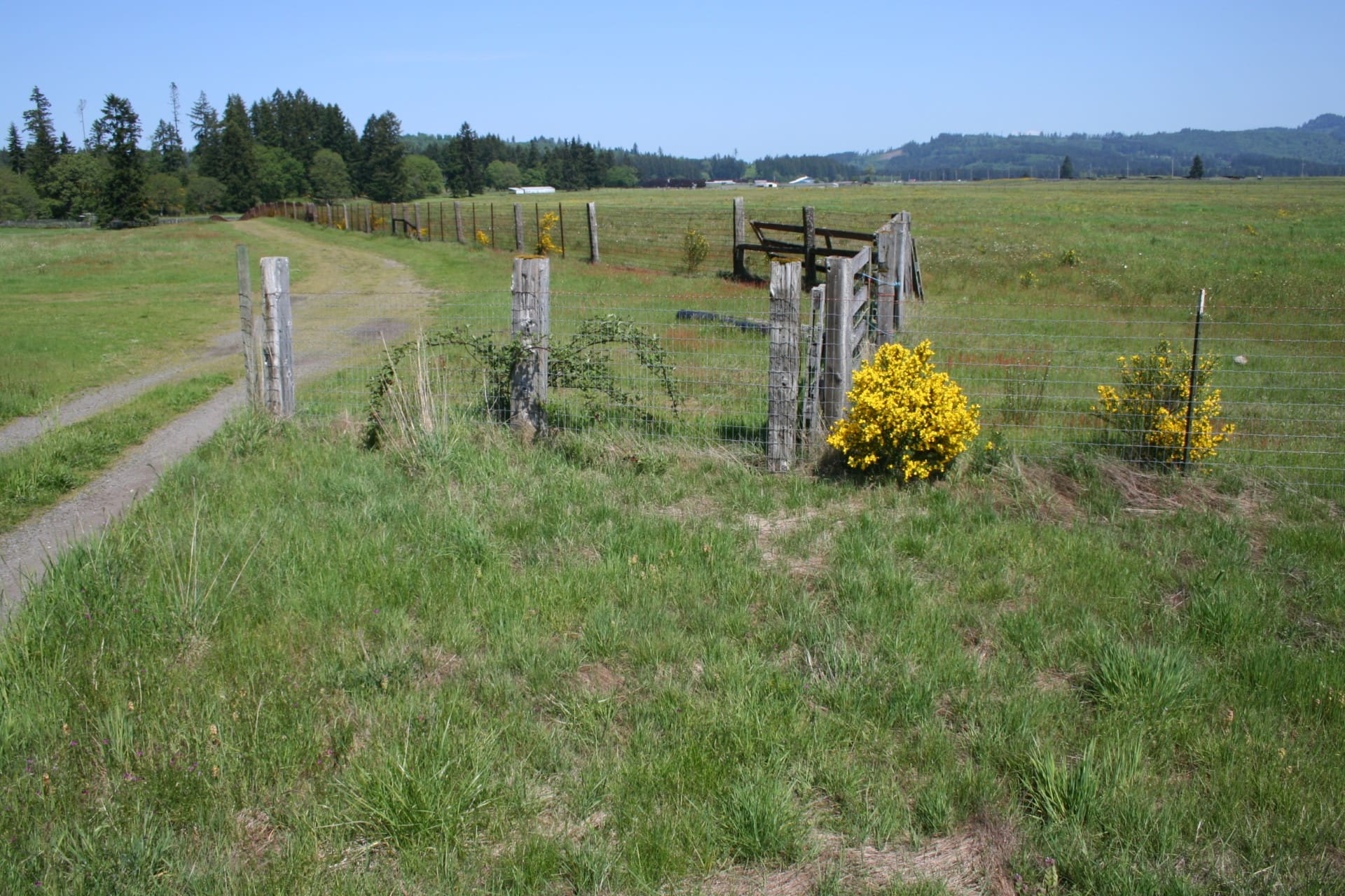 fenced land washington t90 cattle ranch