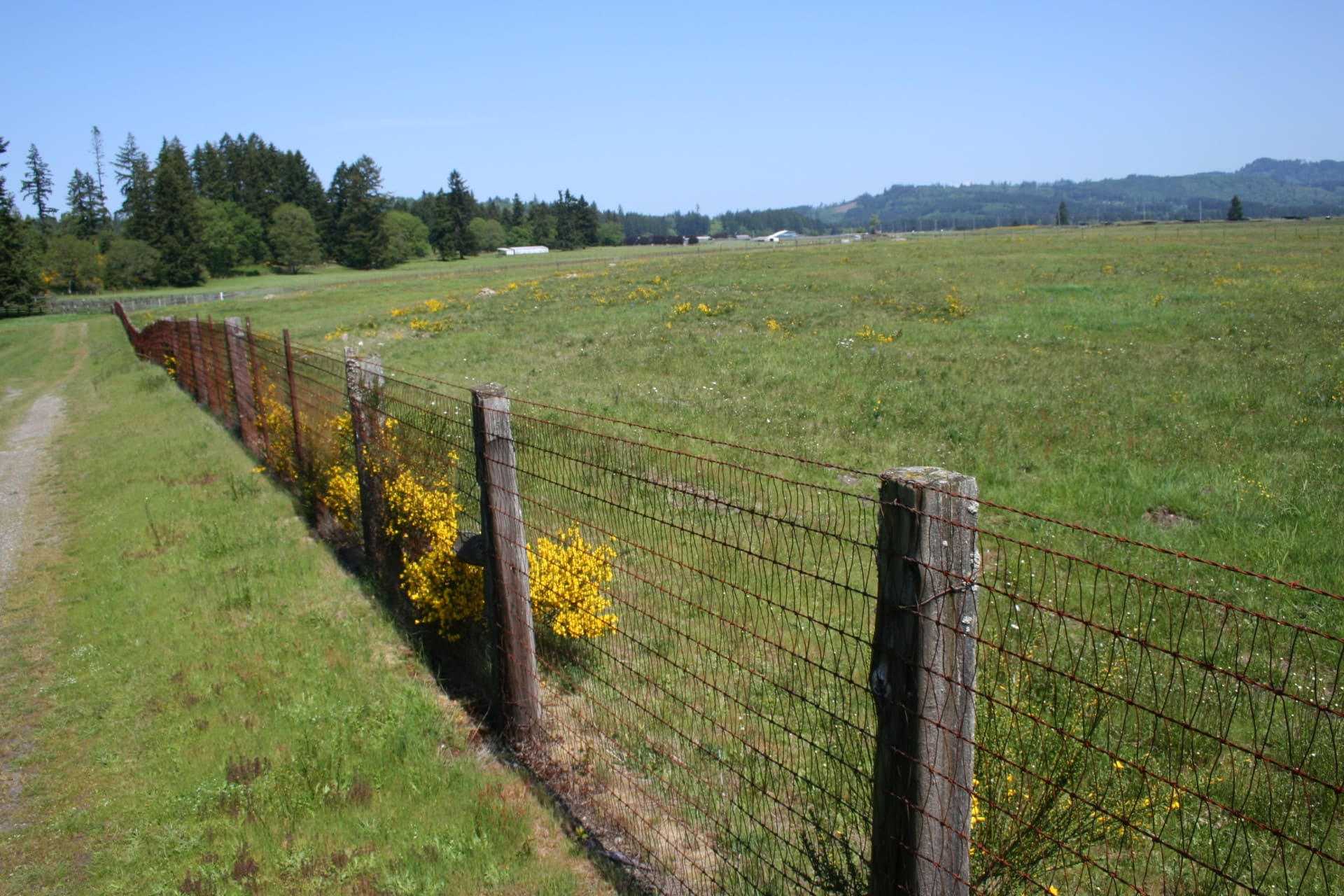 fencing washington t90 cattle ranch