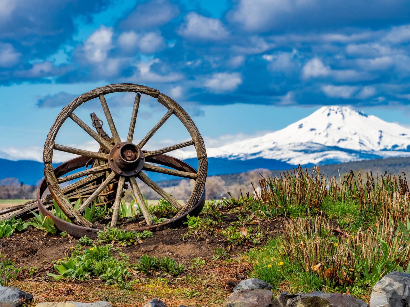 Mountain View Wagon Wheel Oregon Greens Feedlot