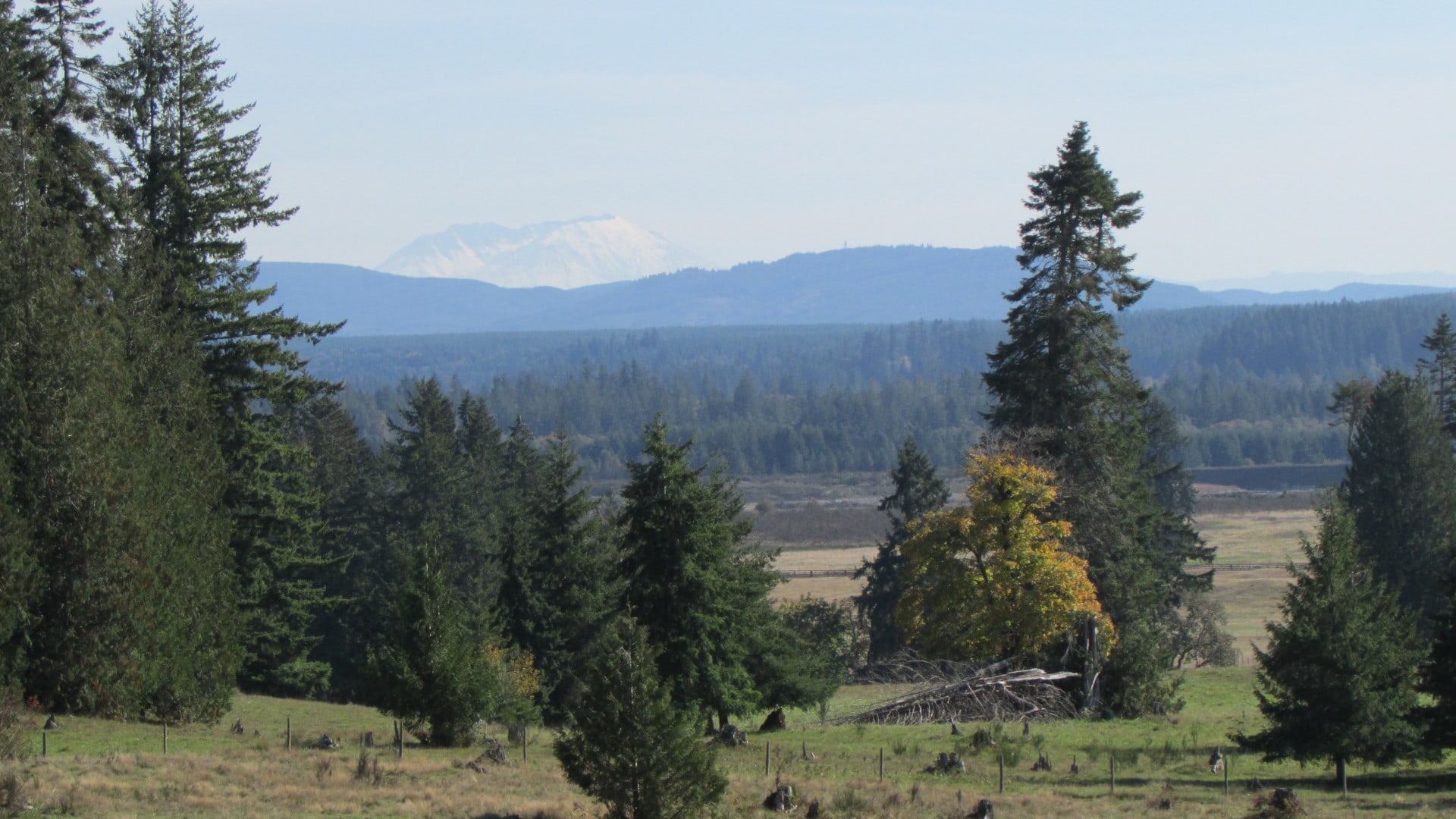 T90 Cattle Ranch | Tenino Washington | Fay Ranches