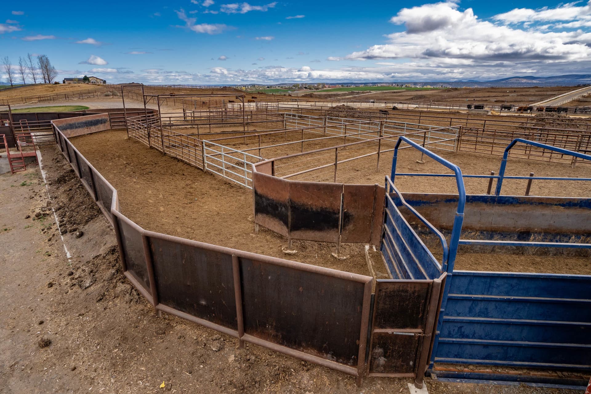 Pens and Scale Oregon Greens Feedlot