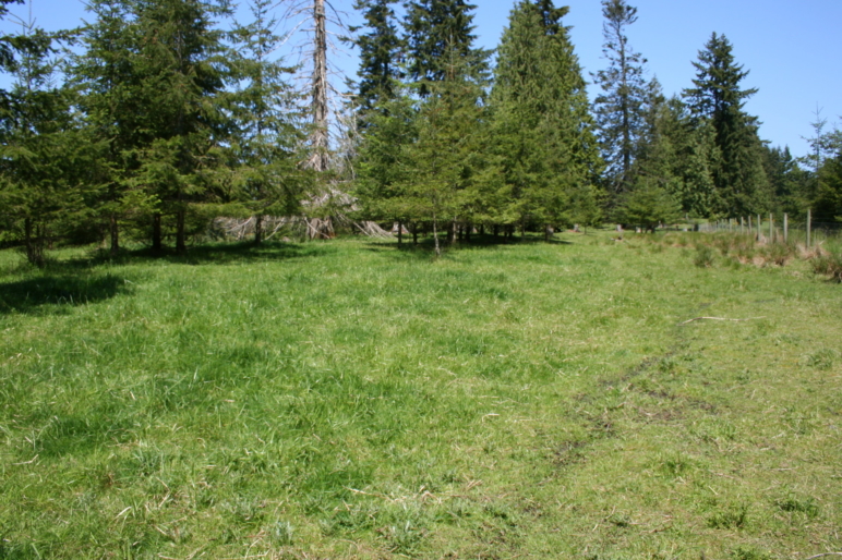 T90 Cattle Ranch | Tenino Washington | Fay Ranches