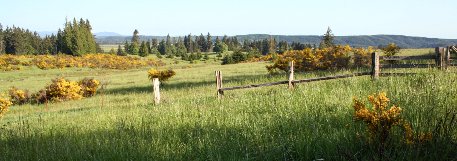 washington historic cattle ranch for sale t90 cattle ranch