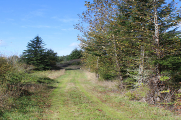 washington land for sale lemon hill ranch