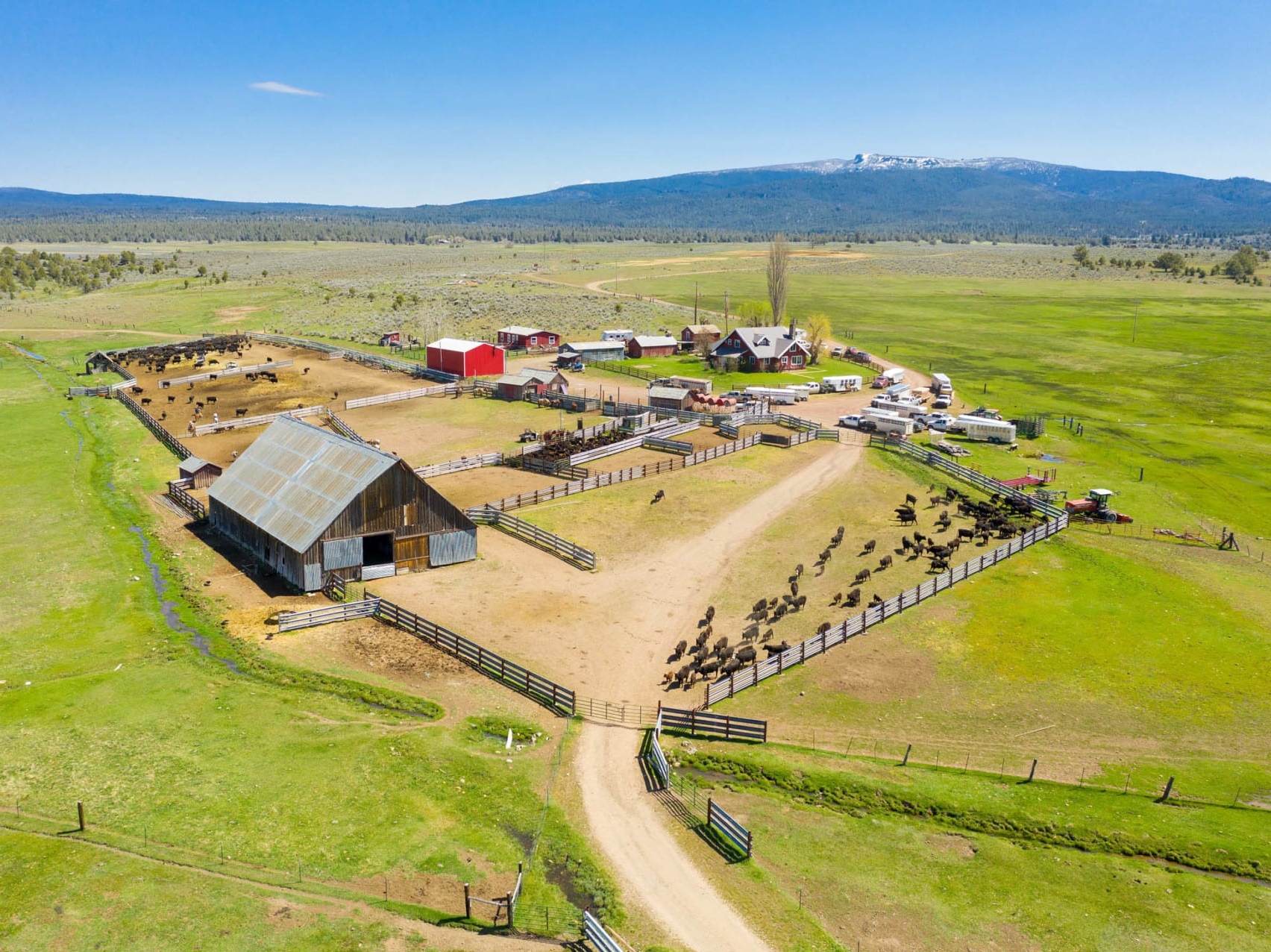 Aerial Cattle Ranch Oregon BK Ranch