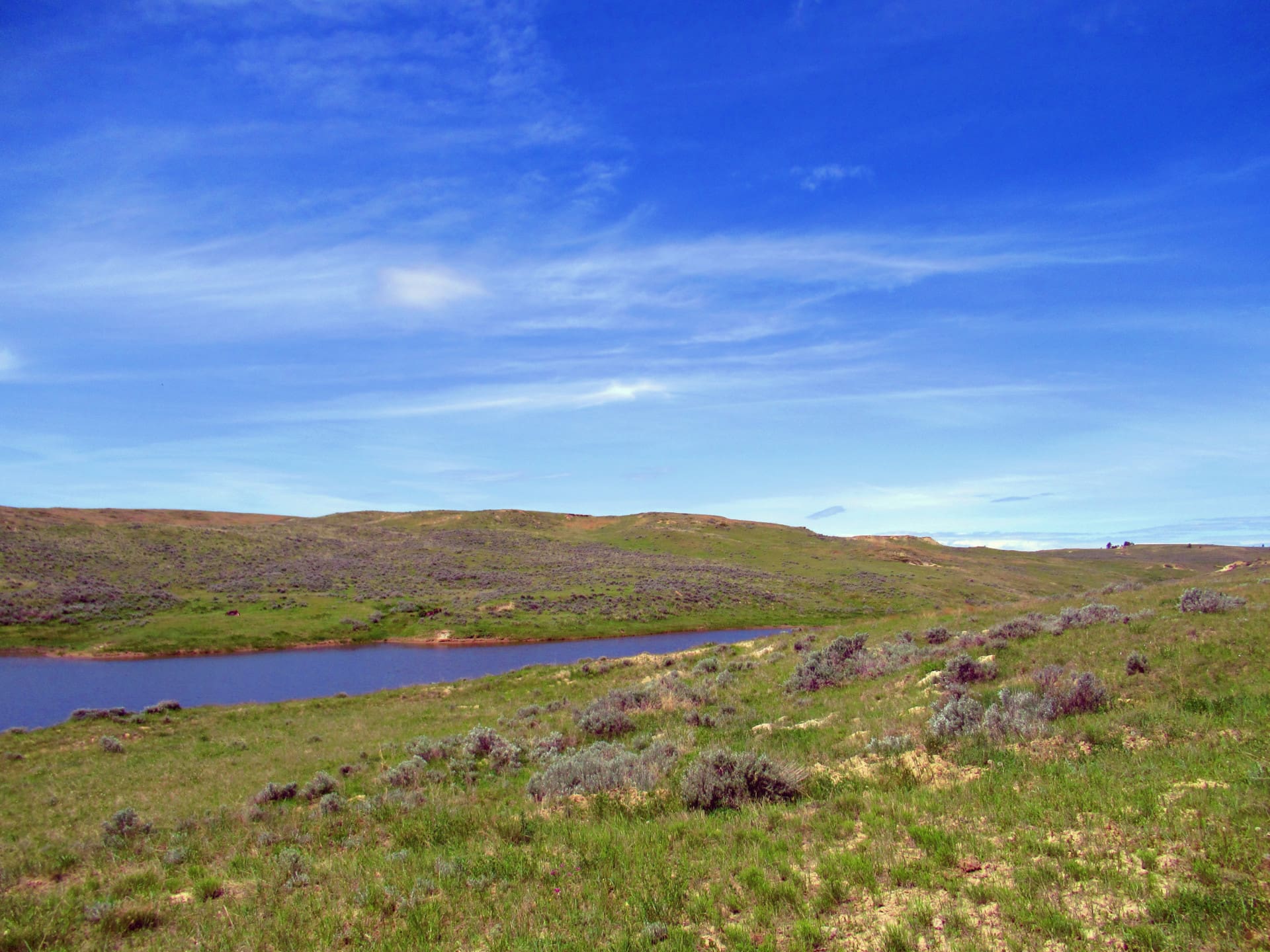 big reservoir montana little rosie ranch