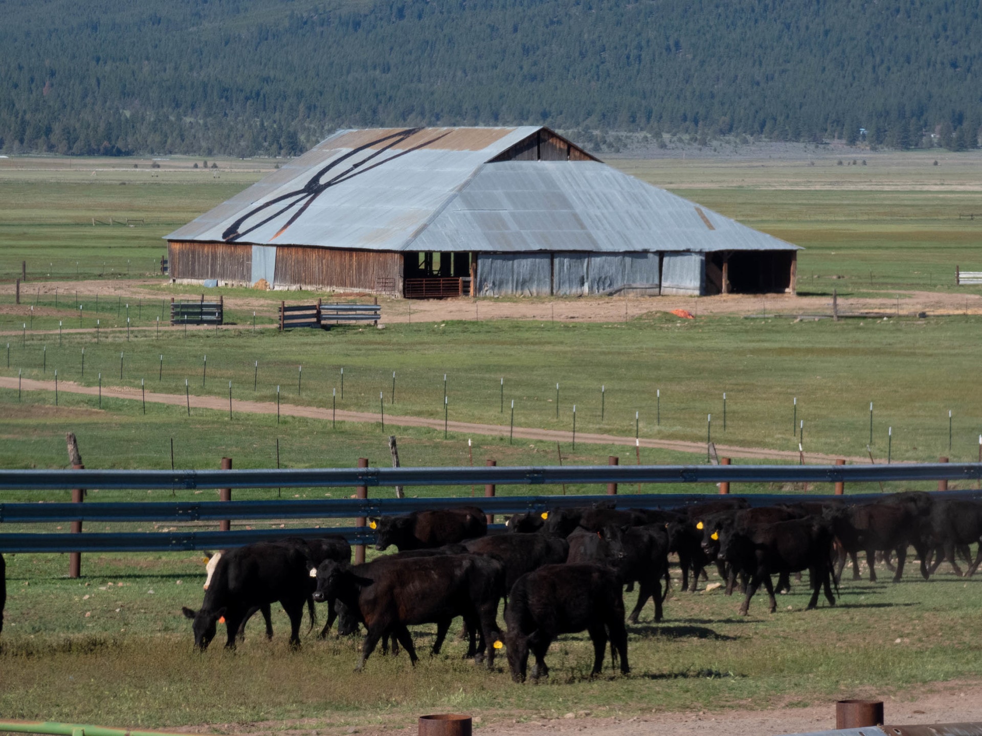 BK Barn Cattle Oregon BK Ranch