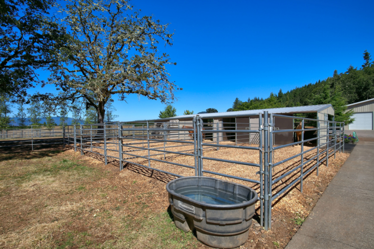Thunder Ridge Ranch Oregon Thunder Ranch | Oakridge Oregon Timberland | Fay Ranches