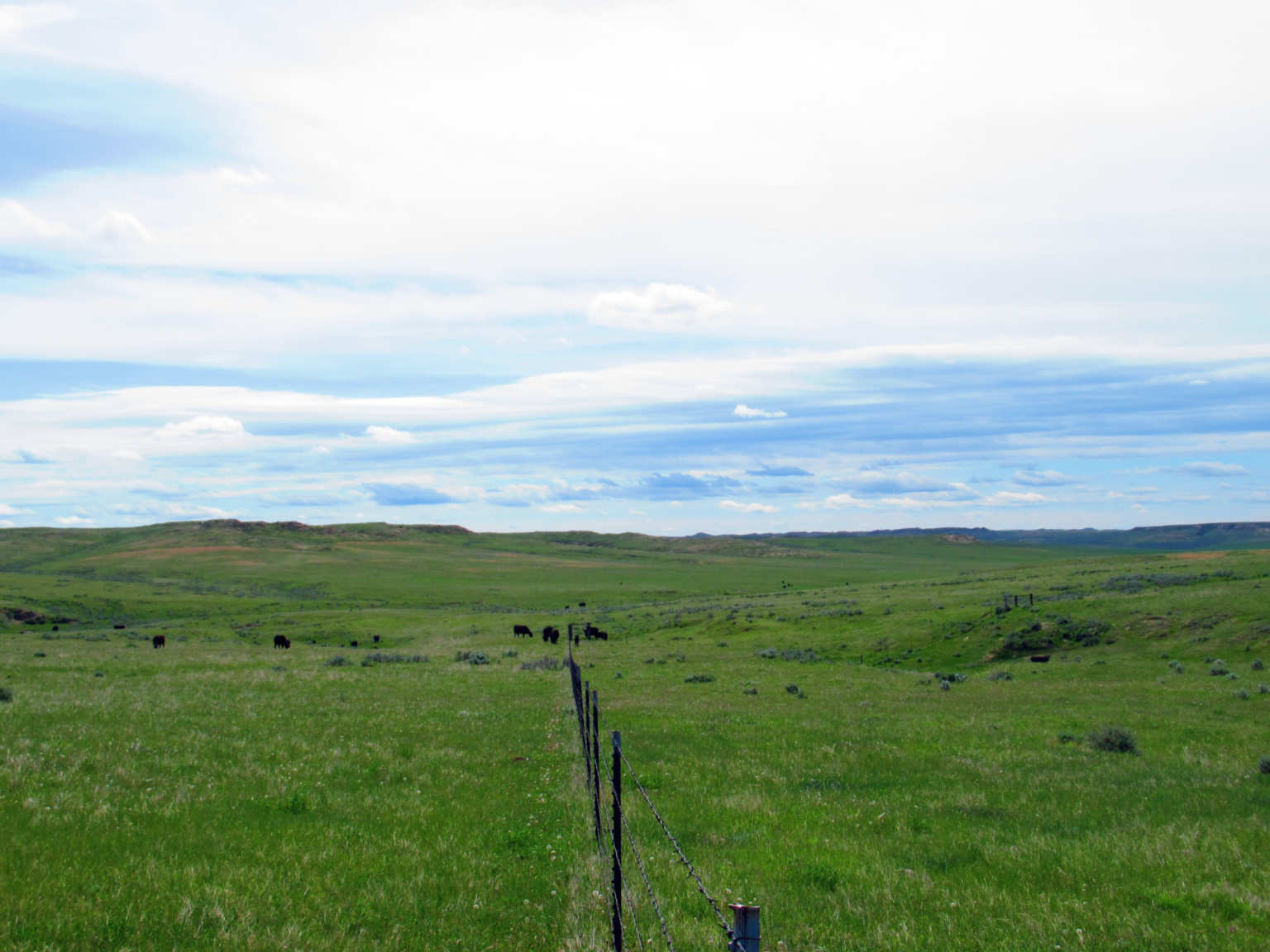 Little Rosie Ranch Sand Springs Montana Fay Ranches