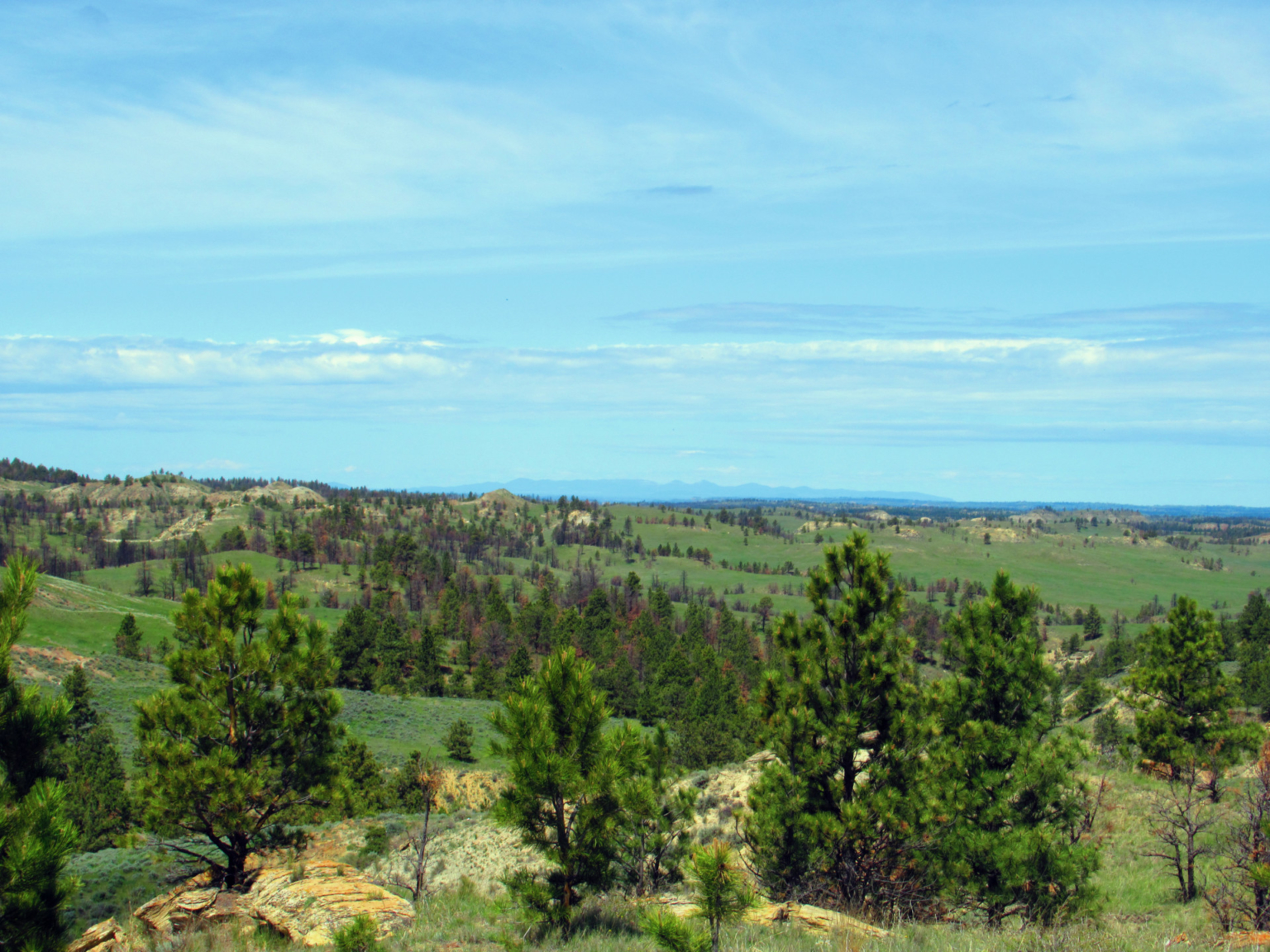 Little Rosie Ranch Sand Springs Montana Fay Ranches
