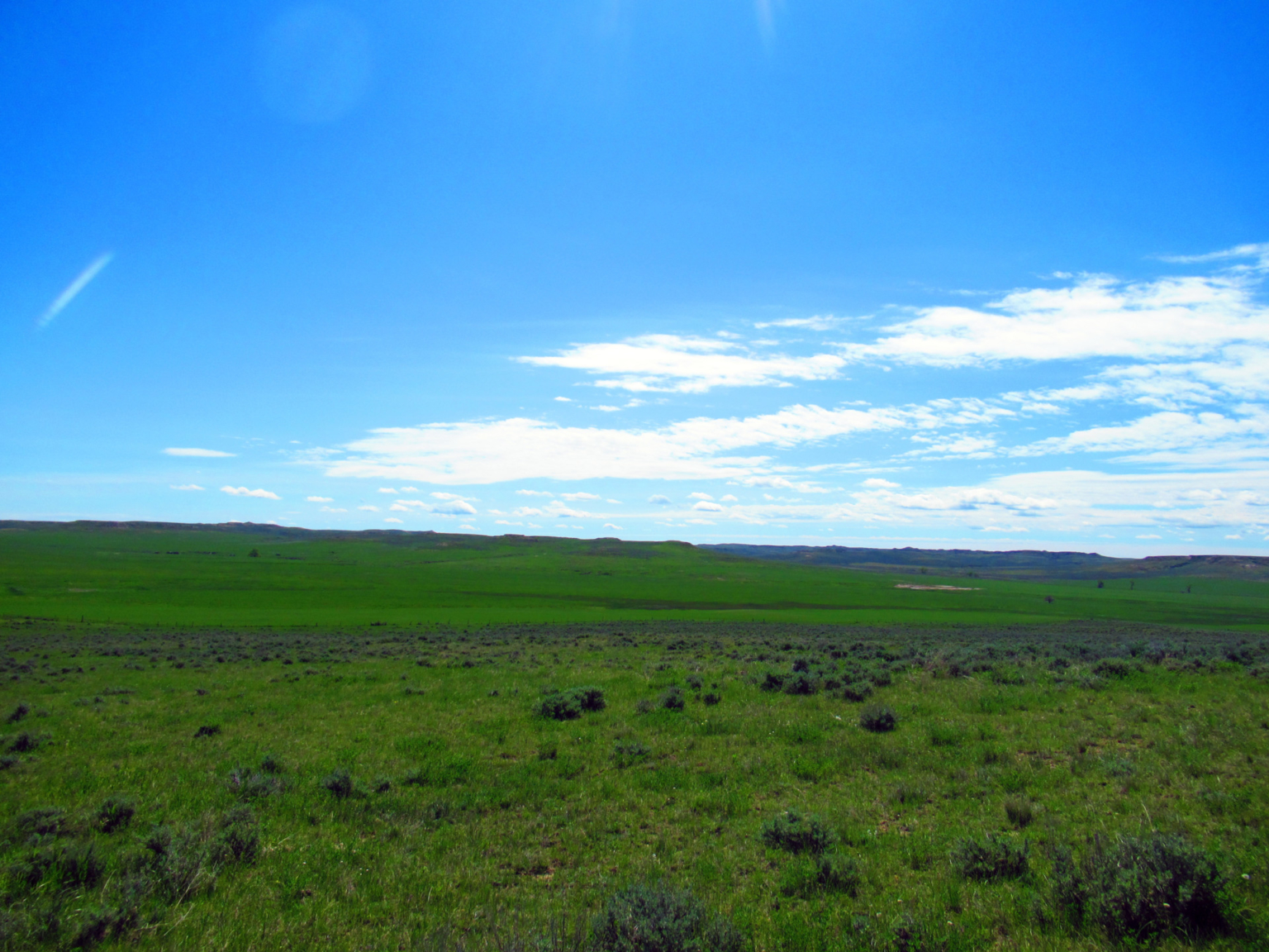 Little Rosie Ranch Sand Springs Montana Fay Ranches
