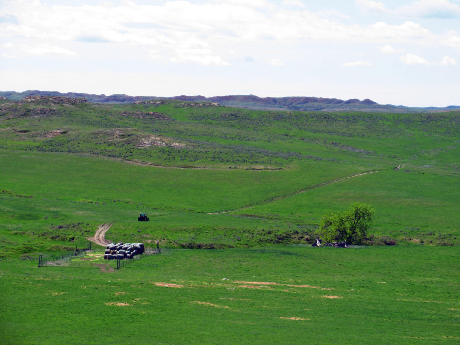 Little Rosie Ranch Sand Springs Montana Fay Ranches