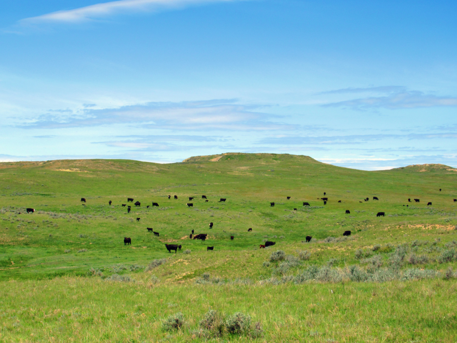 Little Rosie Ranch Sand Springs Montana Fay Ranches
