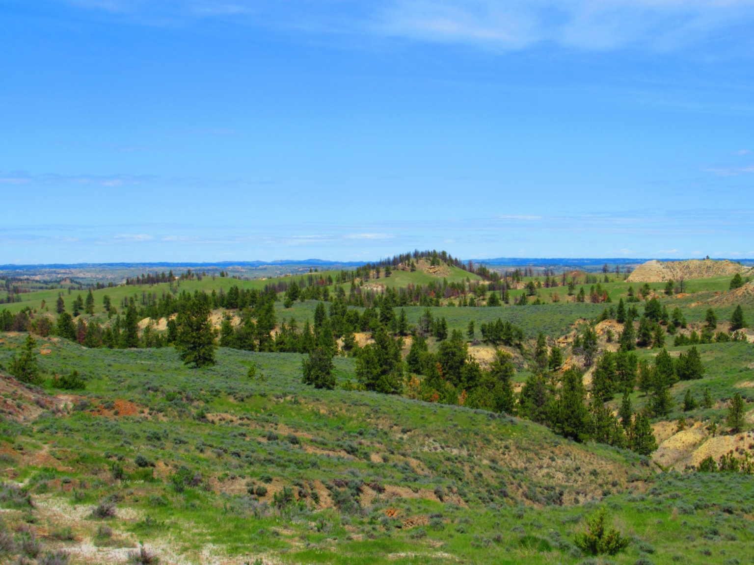 Little Rosie Ranch Sand Springs Montana Fay Ranches