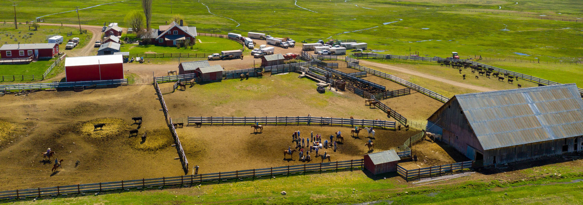 Oregon Cattle Ranch for Sale BK Ranch