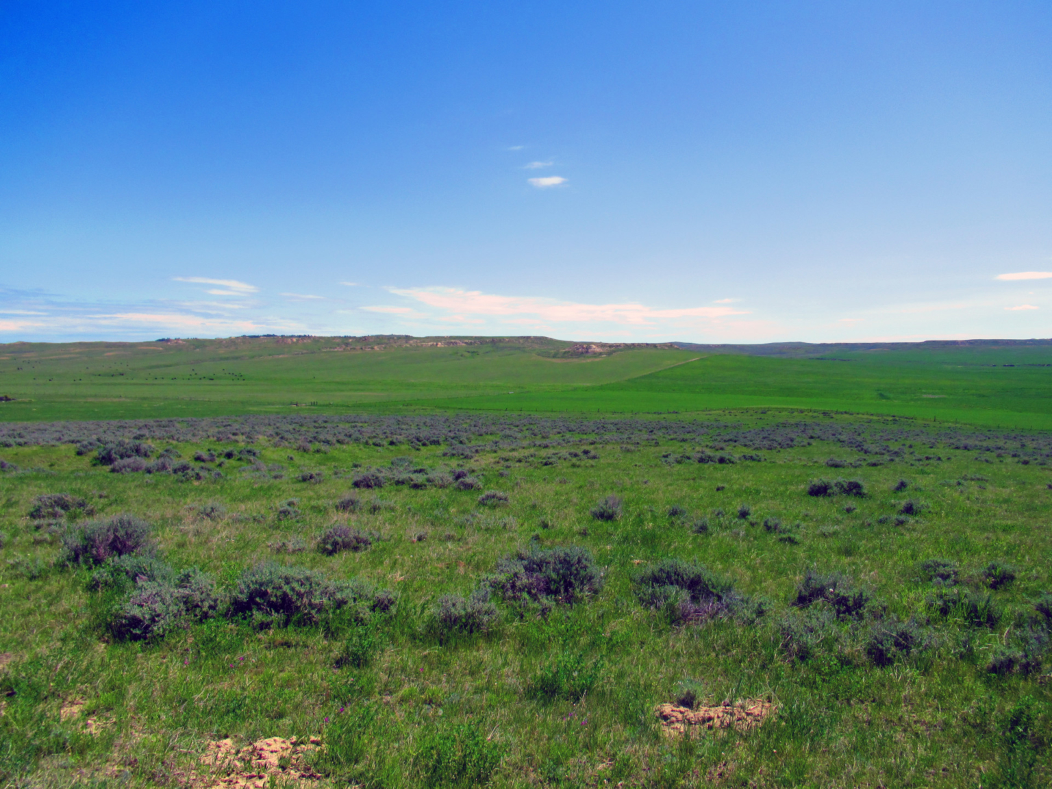 Little Rosie Ranch Sand Springs Montana Fay Ranches