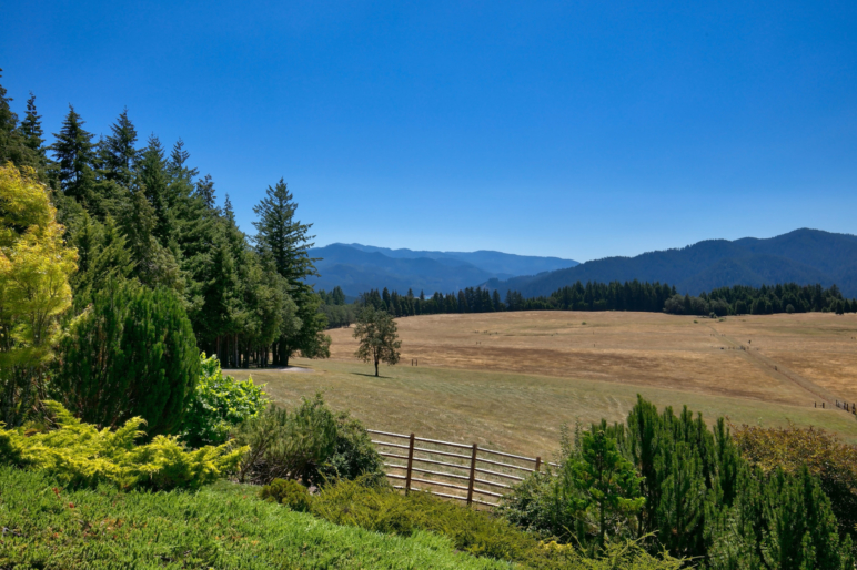 Thunder Ridge Ranch Oregon Thunder Ranch | Oakridge Oregon Timberland | Fay Ranches