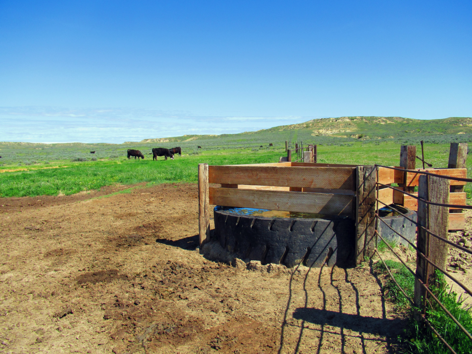 Little Rosie Ranch Sand Springs Montana Fay Ranches