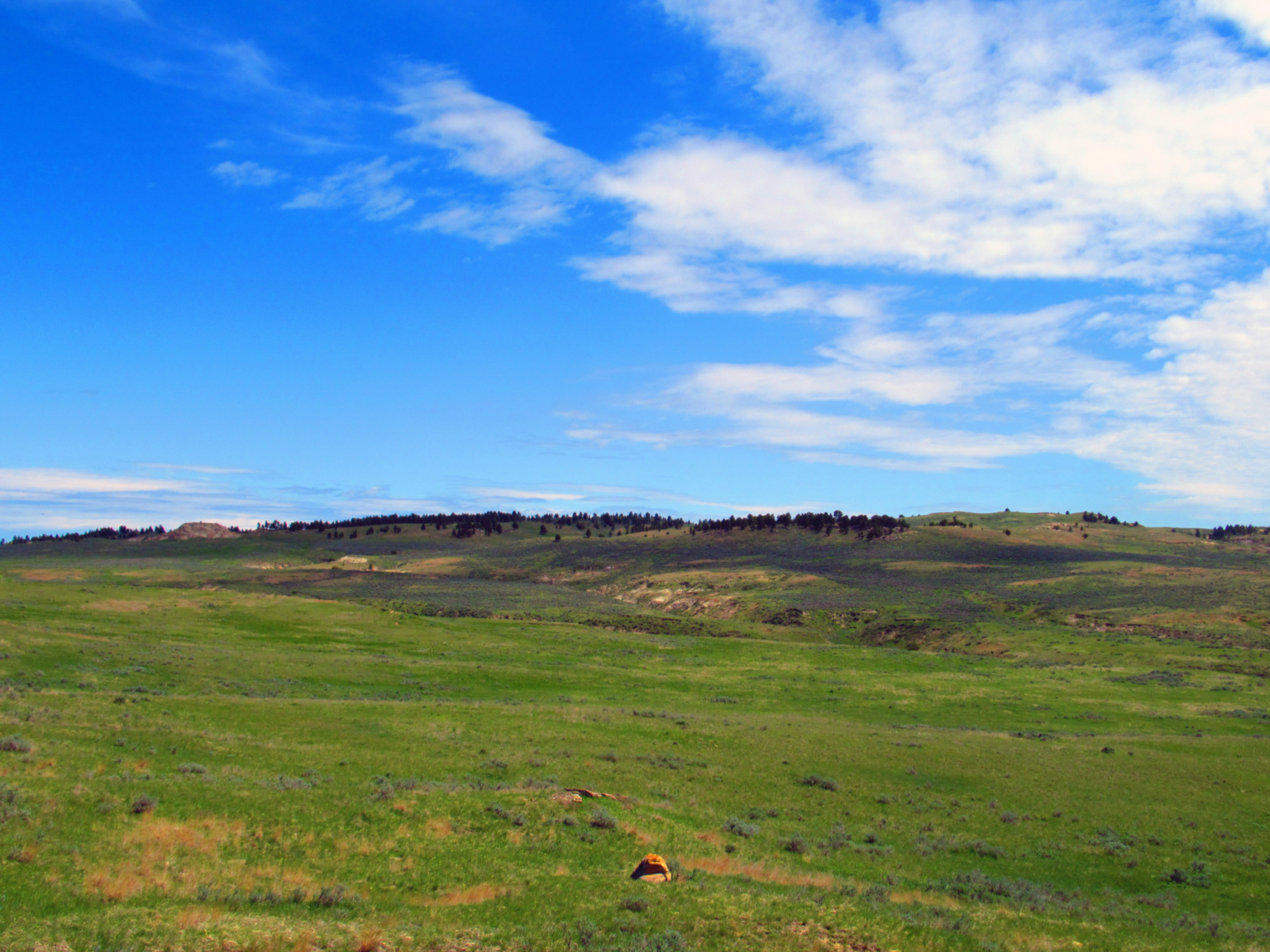 Little Rosie Ranch Sand Springs Montana Fay Ranches