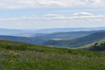 big game hunting washington property for sale lemansky lake tracts