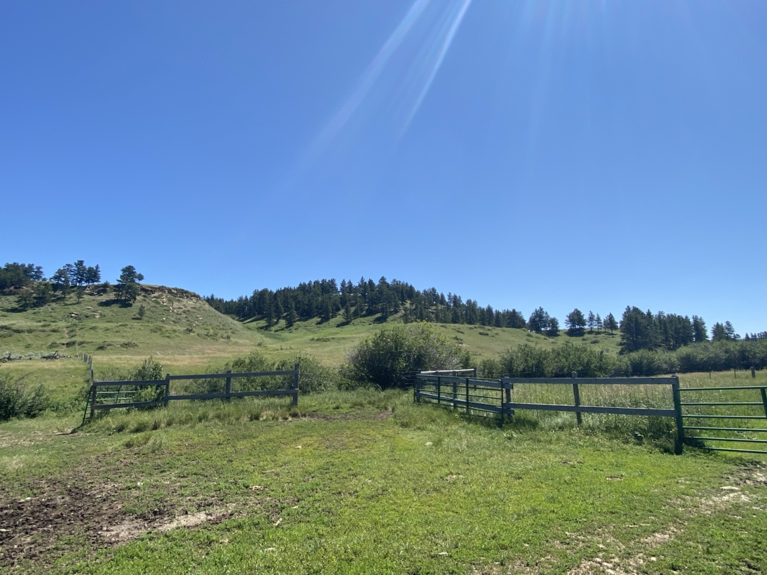 Blacktail Creek Ranch | Grass Range Montana | Fay Ranches