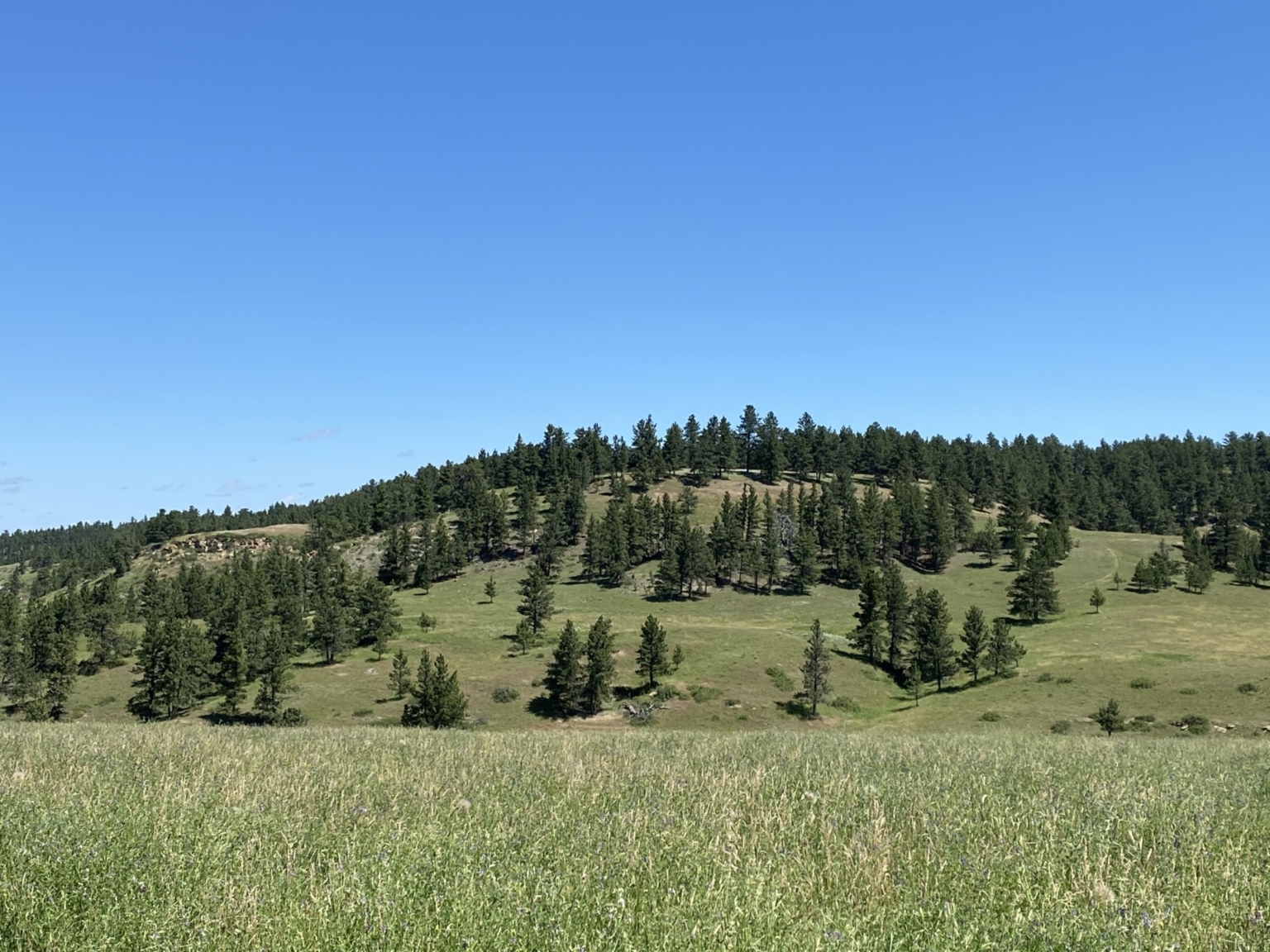 Blacktail Creek Ranch | Grass Range Montana | Fay Ranches