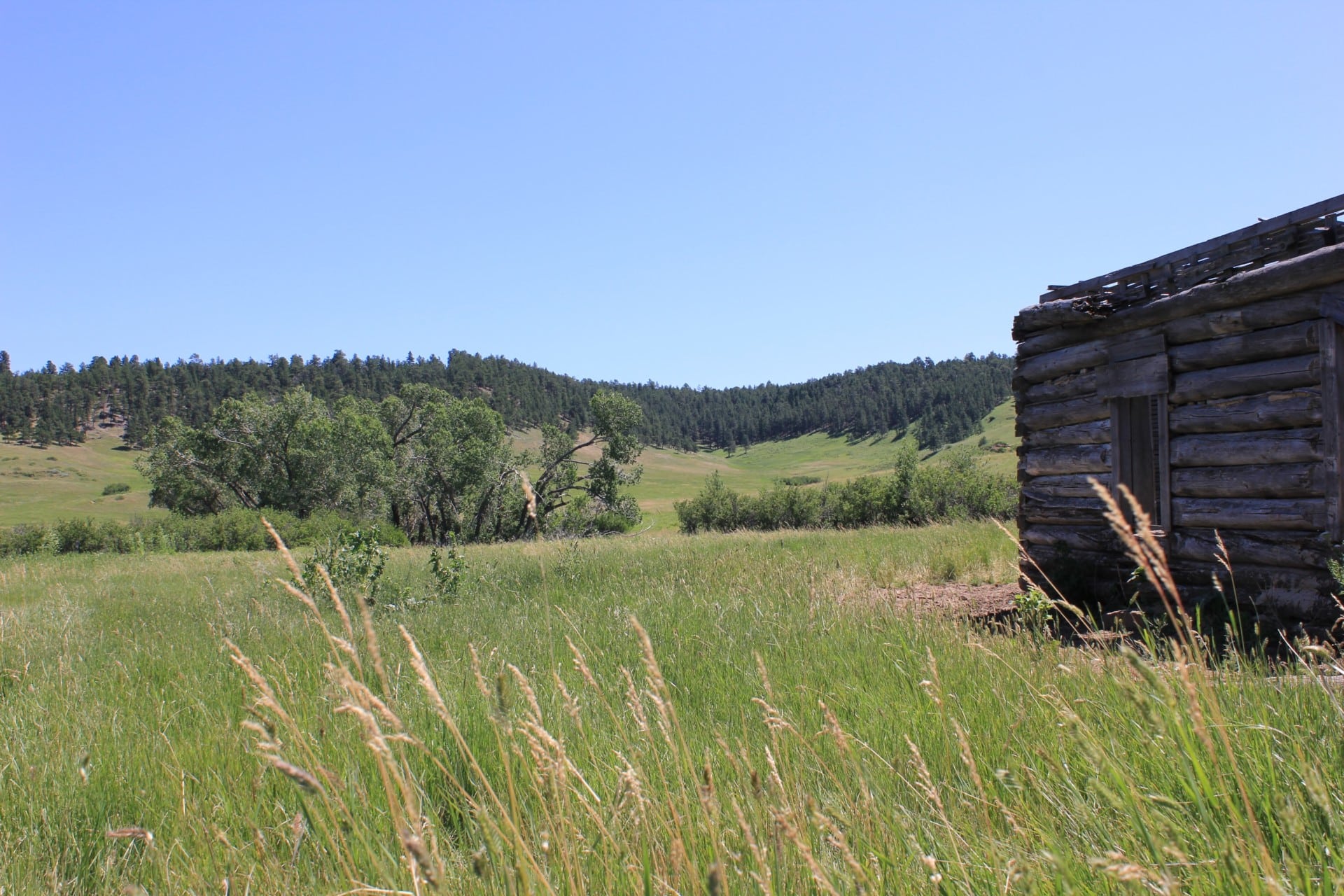 homestead-montana-blacktail-creek-ranch | Fay Ranches