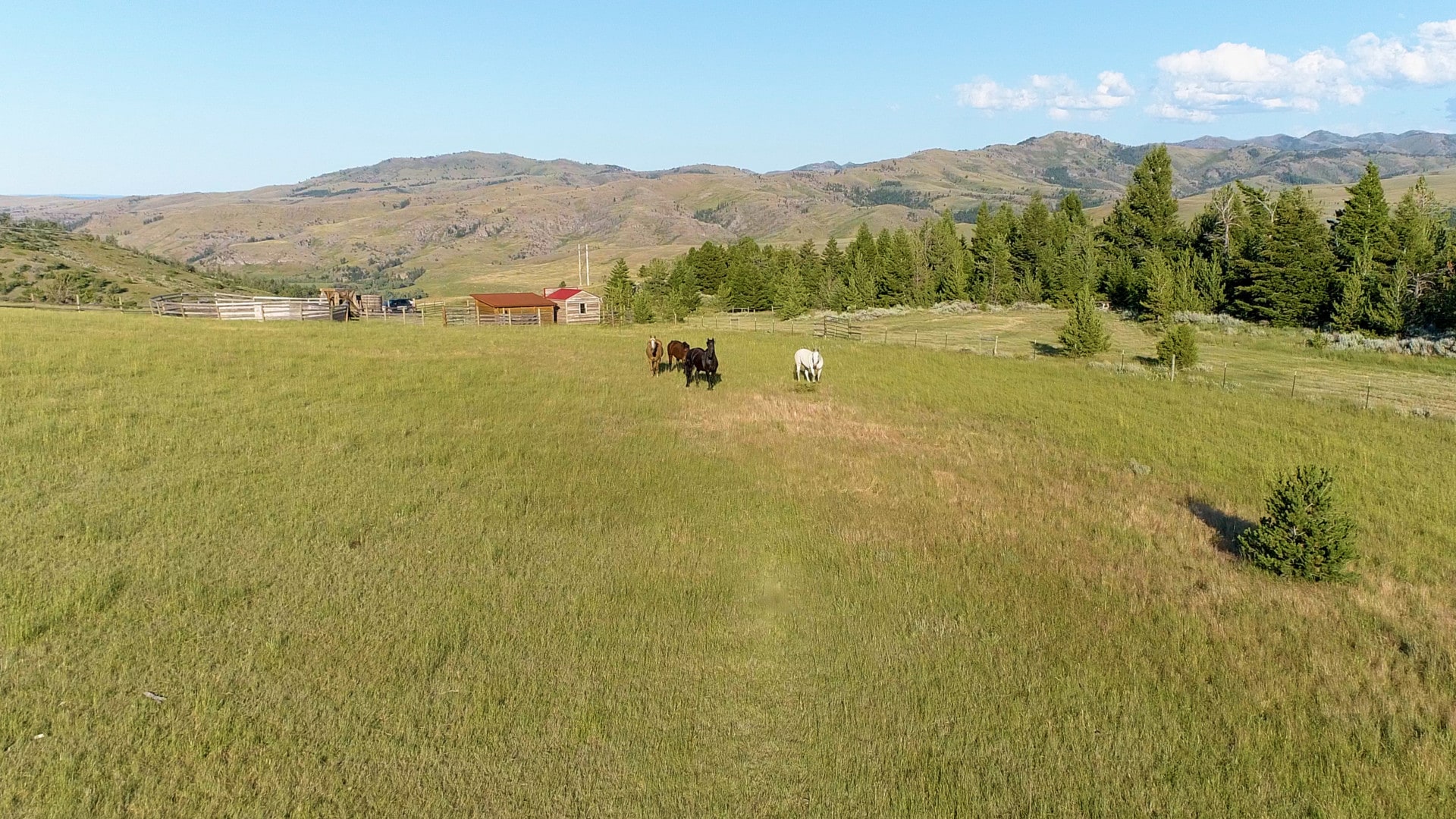horsepasturemcleodhighlandsmontanaproperty Fay Ranches