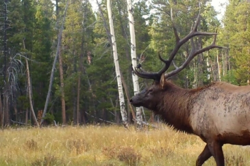 hunting land wyoming for sale jensen bull camp