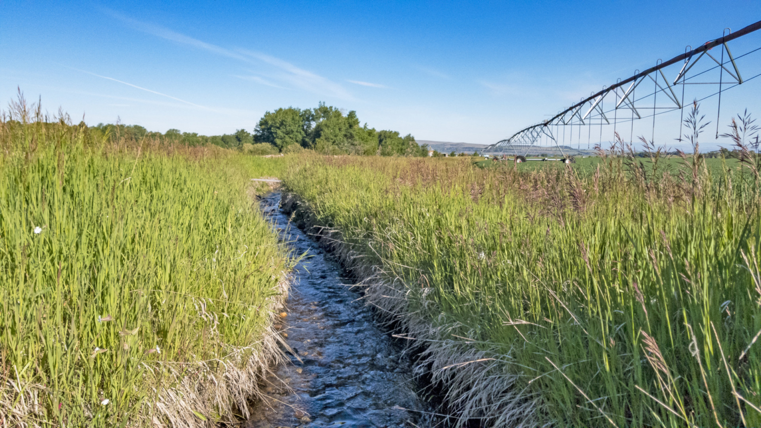 South Cottonwood Farm Bozeman MT Property Fay Ranches