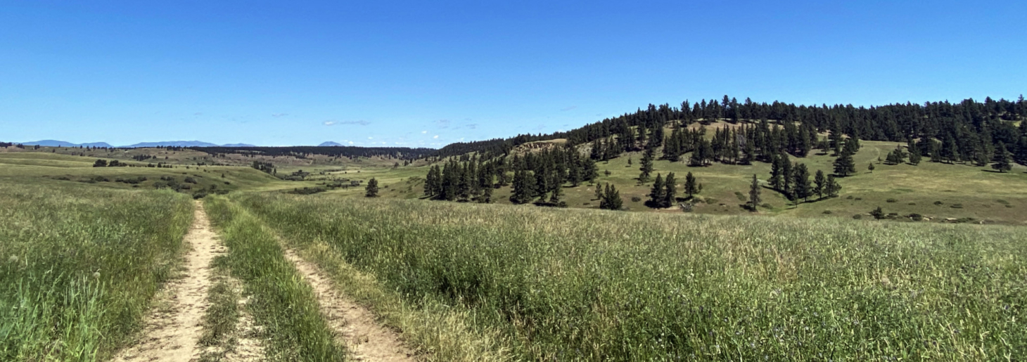Blacktail Creek Ranch Grass Range Montana Fay Ranches