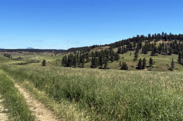 montana ranch for sale blacktail creek ranch