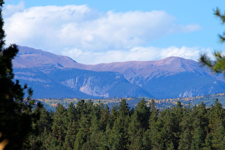 Fay Ranches Brokering the Finest Ranches For Sale Coast to Coast