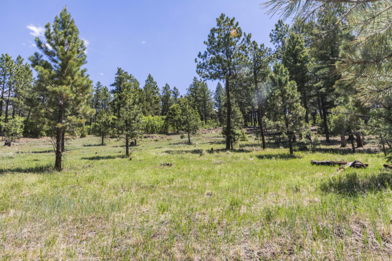 The Ranch at Angel Fire | New Mexico Property | Fay Ranches