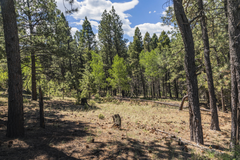The Ranch at Angel Fire New Mexico Property Fay Ranches