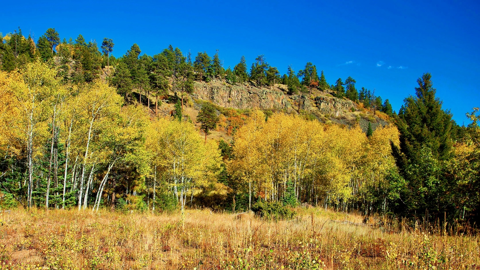 The Ranch at Angel Fire New Mexico Property Fay Ranches