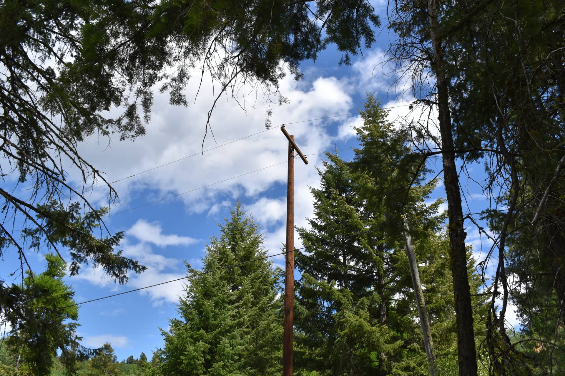 telephone pole washington lemansky lake tracts