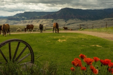wyoming-ranch-for-sale-star-hill-ranch-cody