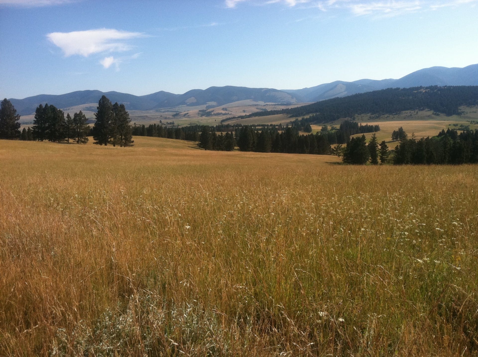 autumn meadows montana little valley ranch