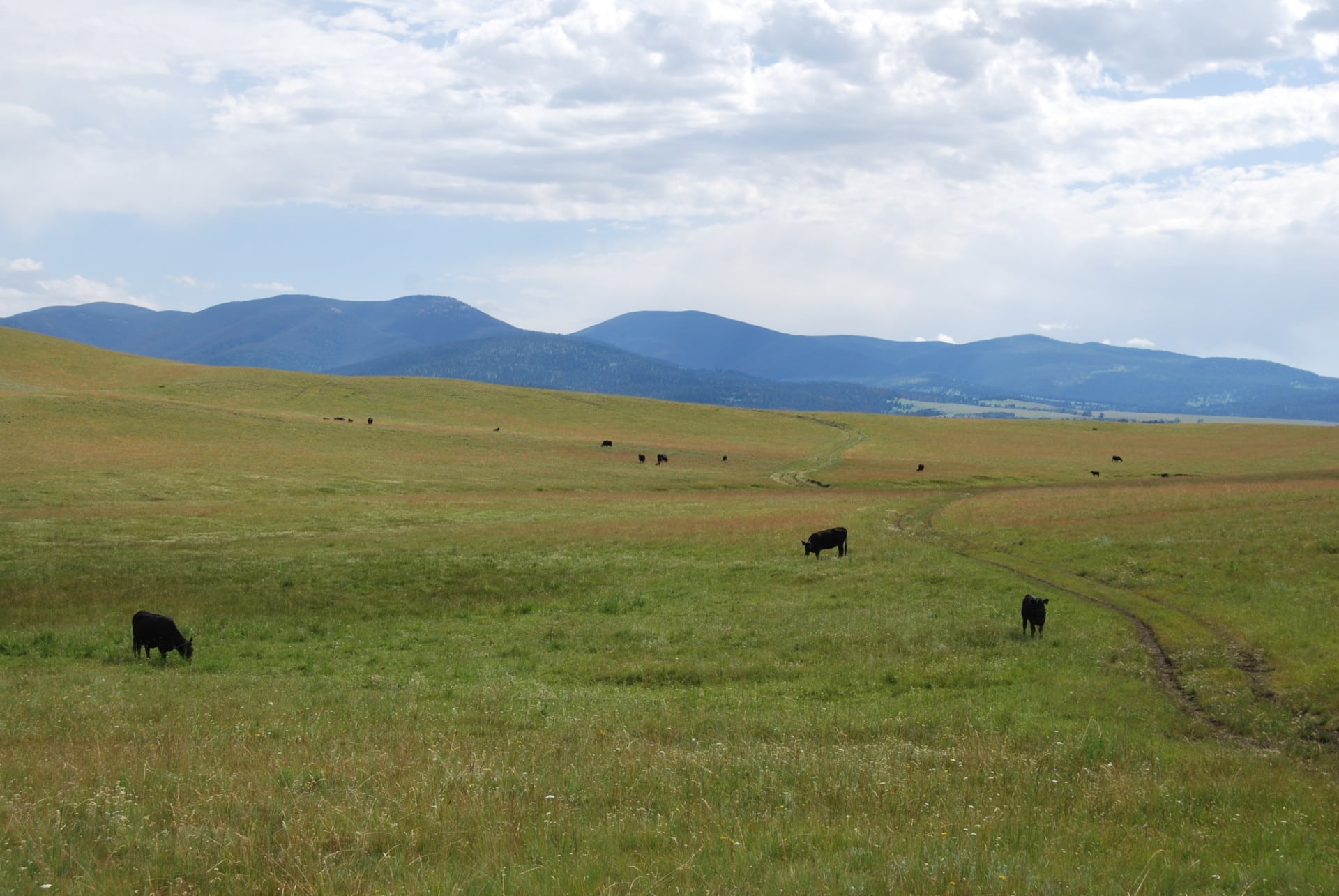 cattle property for sale montana little valley ranch
