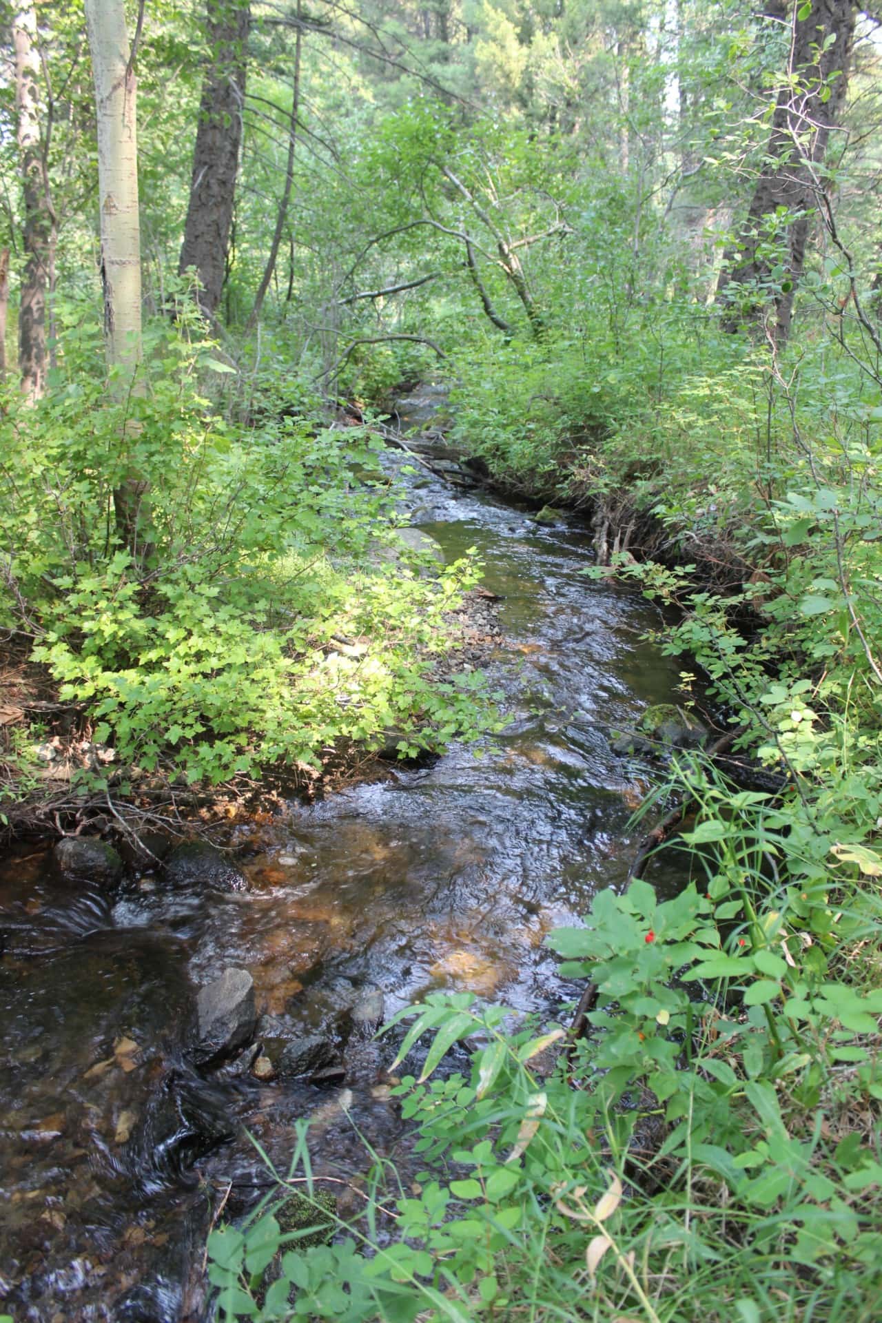 creek montana colorado gulch retreat