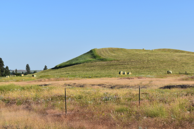 Johnson Lake Ranch | Cheney Washington | Fay Ranches