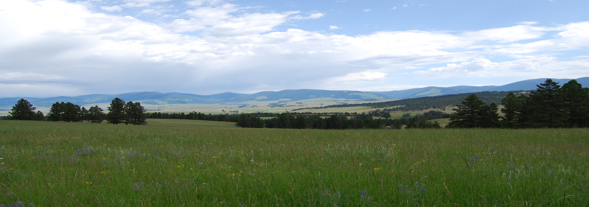 montana cattle ranch for sale montana little valley ranch