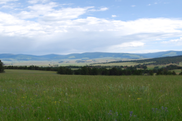 montana cattle ranch for sale montana little valley ranch