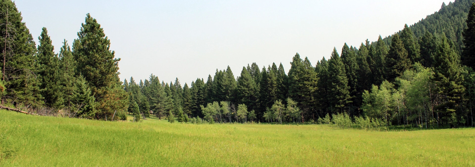 montana land for sale colorado gulch retreat