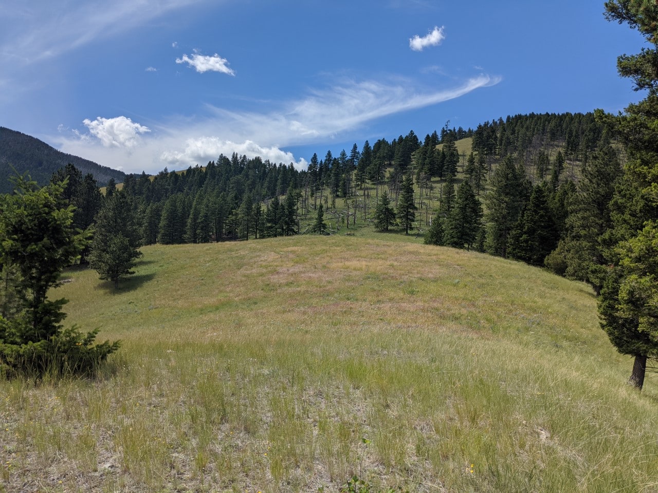 mountain meadow montana colorado gulch retreat