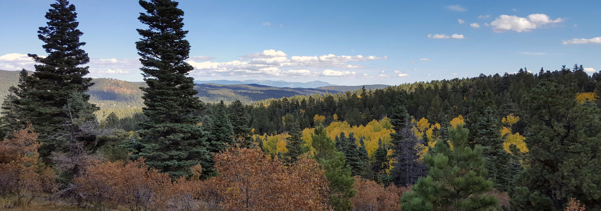 New Mexico Land for Sale Upper Montane Ranch